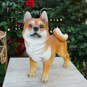 ̒u  킢 K[fObY  hbO Aj} I[ig  K[f CeA u K[f}XRbg IVȒu Ԓd Gݏ  A  Op