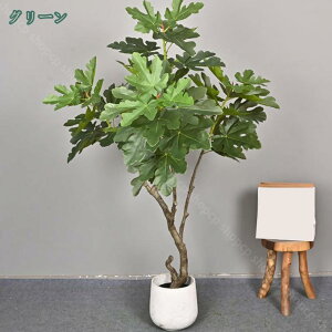 tFCNO[ A ^ lH ϗtA A CeA   rO ItBX Ɩp   ҍ ͂Ȃ lHA sv JtF {^jJCt 