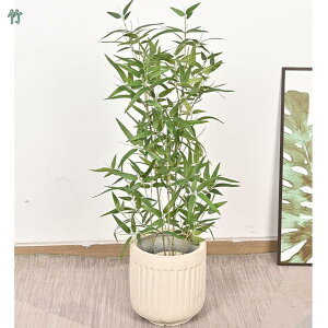 tFCNO[ zj ^ lHϗtA  bNX  CeA ItBX v[g ϗtA 傫   tFCNϗtA  eX  _ 