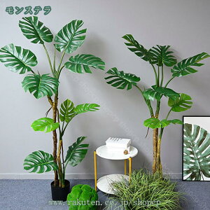 lHA  lHϗtA tFCNO[ Ƃ̑ ^ z[ ItBX rO[  p  lHΉA 킢  CeA   O Lb` x