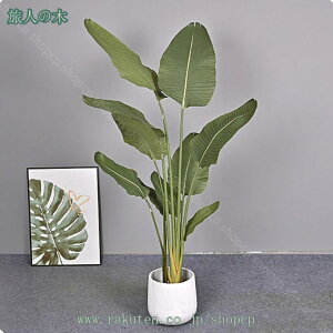 tFCNO[ lHϗtA ϗt  ^ bȂ  z[  ItBX CeA  rO 傫 { j 썑 A JXj IV k V