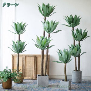 tFCNO[ ϗtA tFCNA K̖ lHϗtA ^   lHϗt  O  CeA A  j  ItBX rO sv 