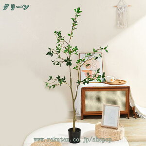 2000~OFFN[| ΂̐A tFCNO[ lHϗtA ϗt tFCN u₩ p sv eiXȒP  O Lb` ItBX rO  zj t i