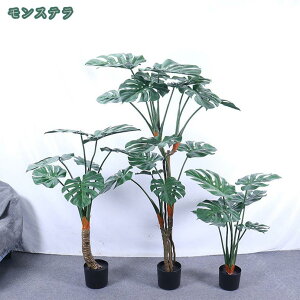 2000~OFFN[| ΂̐A tFCNO[ lHϗtA ϗt tFCN u₩ p sv eiXȒP  O Lb` ItBX rO  zj t i