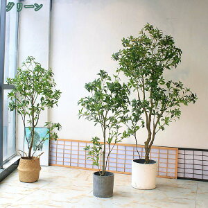 tFCNO[ k INS _ CeAGݐlHϗtA bsv ȒP Vv { ^ tFCNA   O  ItBX j  fXN f