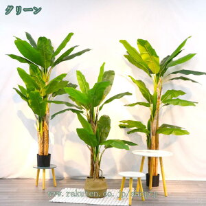 lHA  lH tFCNA ^A z[fR[V ϗtA  A ͗lւ ItBX z ݑΖ [gc wi {I I  f[  