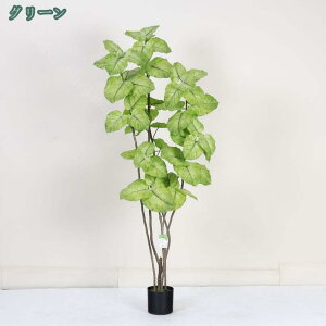 1000~OFFN[| lHA  lH tFCNA ^A z[fR[V ϗtA  A ͗lւ ItBX z ݑΖ [gc wi {I I  