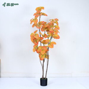 1000~OFFN[| lHA  lH tFCNA ^A z[fR[V ϗtA  A ͗lւ ItBX z ݑΖ [gc wi {I I  