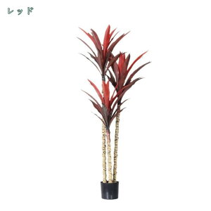 lHA i` AȉA z[fR[V   傫 { CeA  lHϗtA p Bep  rO[Axbh[