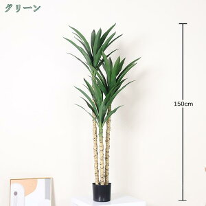 1000~OFFN[| lHA i` AȉA z[fR[V   傫 { CeA  lHϗtA p Bep  rO[