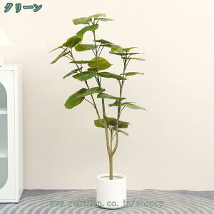 lH ^ A A z[[  O lHϗtA ̓  tFCNO[ CeA  } ډB  傫   rO ItBX JX Gg