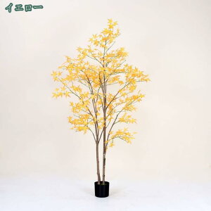 1000~OFFN[| ݂̖ ^ lHϗtA tFCNO[ ϗtA  t CeA  j  O  tFCNc[  rO[ ItBX K[f 