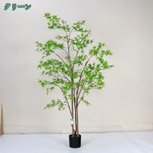 2000~OFFN[| ݂̖ ^ lHϗtA tFCNO[ ϗtA  t CeA  j  O  tFCNc[  rO[ ItBX K[f 