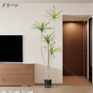 1000~OFFN[| tFCNO[ lHϗtA ^   zj v[g CeA  sv i` Vv 킢 A rO t lH 