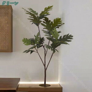 AtFCNO[ ϗtA ^ 傫 蕨 AWA e@ X CeA  j  t sv Q쏜sv  oRj[  Iȑ z