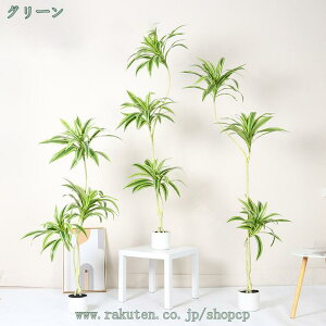 1000~OFFN[| lHϗtA tFCNO[ A 1{ ^ lHA tFCN  CeA sv Q̐SzȂ Vz zj ~͐A    SݓX 