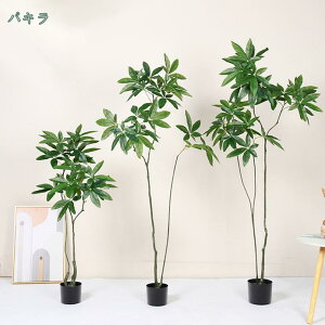 tFCNO[ ϗtA tFCN lHϗtA A t ^ CeA 傫 A 蕨 傫 {  킢 v[g  rO    