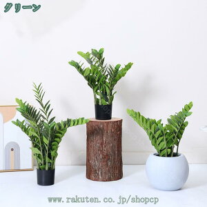 1000~OFFN[| ze X GgX c rO ItBX [ ɒuA  ^  tFCNO[ lH~  fRp ͂Ȃ sv b炸 {