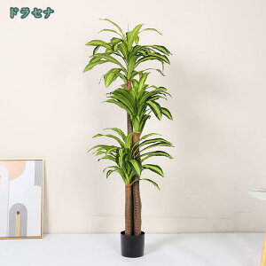 1000~OFFN[| ze X GgX c rO ItBX [ ɒuA  ^  tFCNO[ lH~  fRp ͂Ȃ sv b炸 {