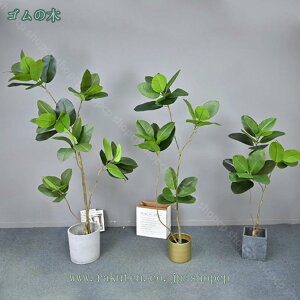 tFCNO[  ϗtA tFCN A   JtF  rO Lb` Mtg 蕨 j JX J {  ̓ v[g zj Vzj 