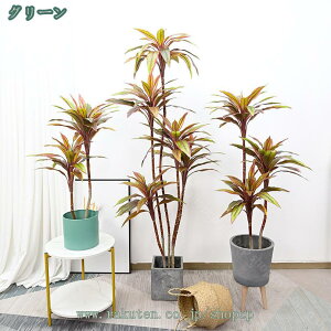 2000~OFFN[| lHA  傫ȃtFCNc[     ItBX  Q rO[ Vzj̃MtgɍœK A ͗lւ z ݑΖ [gc wi {I I 