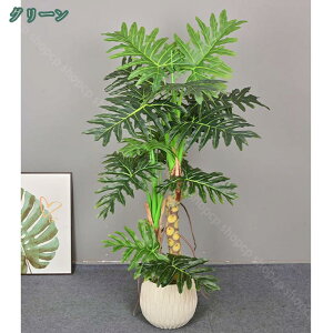 ^  CeAO[ A ϗtA lHϗtA    JXj X ItBX  ItBXp i`  O ze Vv ϗt   K