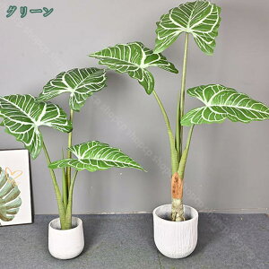 lHϗtA tFCN sv CeAO[  傫 ^ tFCNA lH AȗΖLȗtƊt z[ItBX  rO[ Op fR[Vp 