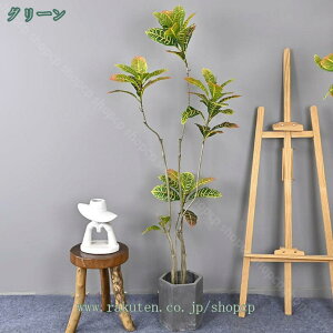 ϗtA tFCN^  CeA A tFCNO[ lHϗtA 蕨 A 傫 傫 {  킢 v[g rO t t z  