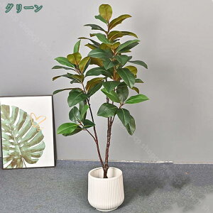 2000~OFFN[| ^  CeAO[ A ϗtA lHϗtA    JXj X ItBX  ItBXp i`  O ze Vv ϗt