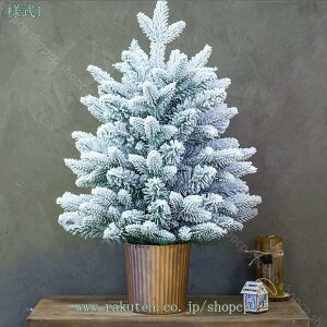  ~j NX}Xc[  Mtg 蕨 ~Mtg 킢 e[u i` a v[g CeA kG  ͋C X X ^ i I[