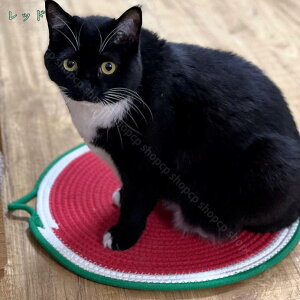 ybg }bg  L Lg V[c Rbg ~pbh L  Lg ʋC ~ _炩  h [΍ ~ɑς 􂦂 JԂg}`Jo[ 唻 ʔN    ~