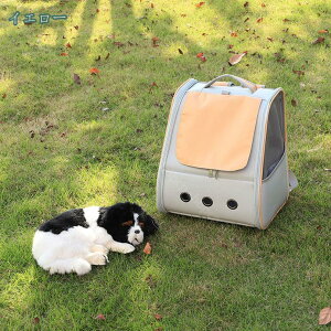 500~OFFN[| ^ L L[ obO   bN [obO ybgObY L ETM ^ p bV ʋC ܂肽 ybgL[obO \tgN