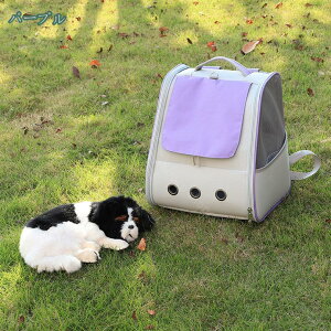 300~OFFN[| ^ L L[ obO   bN [obO ybgObY L ETM ^ p bV ʋC ܂肽 ybgL[obO \tgN