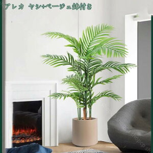 1000~OFFN[| lHϗtA tFCNO[ i` RŃA st ϗtA ^ CeA  ze [ A lHϗtA ^ Aؔ Xe Ce