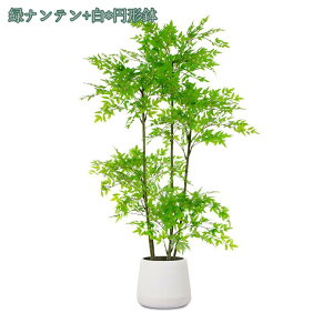 1000~OFFN[| lHϗtA tFCN ^  tFCNO[ ~͐A CeA lHϗtA tFCNt[ A ȒP  O tFCNO[ lHϗtA lH