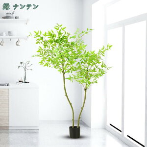 1000~OFFN[| tFCNO[ ^  zIȑ rO[  Q X Be  CeA j Mtg 蕨  v[g Ӎ NX}X 