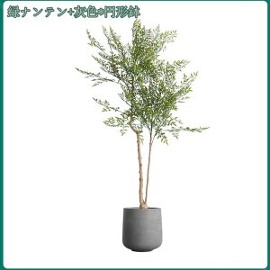 2000~OFFN[| lHϗtA ^ tFCNO[ i`  lHϗtA  rO  O CeA  ItBX Cxg A {^jJ ~͐A j 