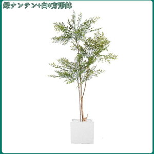 2000~OFFN[| lHϗtA ^ tFCNO[ i`  lHϗtA  rO  O CeA  ItBX Cxg A {^jJ ~͐A j 