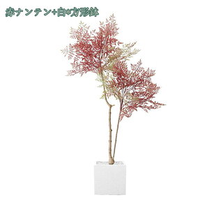 2000~OFFN[| lHϗtA ^ tFCNO[ i`  lHϗtA  rO  O CeA  ItBX Cxg A {^jJ ~͐A j 