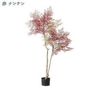 2000~OFFN[| lHϗtA ^ tFCNO[ lH CeA ϗtA   O rO  p Xe sv b炸 ͂Ȃ { l