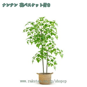 1000~OFFN[| tFCNO[ lHϗtA AJV ϗtA tFCNO[  lHA ^ AJV tFCNO[ ^ t ϗtA tFCN lHϗA l