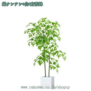 tFCNO[ lHϗtA AJV ϗtA tFCNO[  lHA ^ AJV tFCNO[ ^ t ϗtA tFCN lHϗA lHϗt Vv