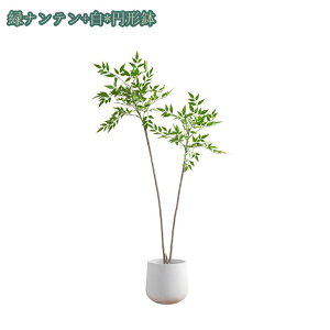 ϗtA tFCNO[ ^  CeA lHϗtA 킢 A Lb` rO _CjO Q p lHϗtA CeA sv lHϗtA ^ 