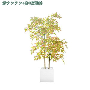 3500~OFFN[| ϗtA tFCNO[ ^  CeA lHϗtA 킢 A Lb` rO _CjO Q p lHϗtA CeA sv l