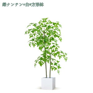 1000~OFFN[| tFCNO[ lHϗtA RŃA tFCNO[  lHA ^ AJV ϗtA tFCNO[ t ϗtA lHϗA lHϗt V