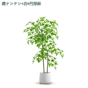 tFCNO[ lHϗtA RŃA tFCNO[  lHA ^ AJV ϗtA tFCNO[ t ϗtA lHϗA lHϗt Vv A 