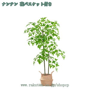 ^ lHϗtA tFCNO[ lHϗtA  CeA  O tFCNA CeA  O sv ͂Ȃ tFCNO[ st gsJA lHϗt