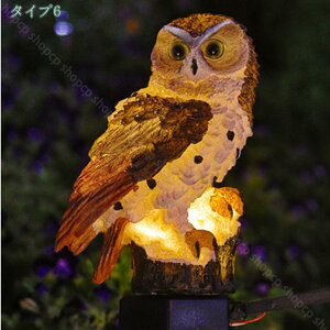 1000~OFFN[| \[[Cg K[fCg O K[fjO u ӂ낤 IE K[fI[ig fR[V  _E  킢 ϋv h   