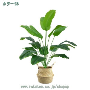 300~OFFN[| tFCNO[ ^ lHϗtA RŃA ϗt Iȑ CeA ȒP  ƒ 悯oRj[  CeA z̃Mtg fR[V g