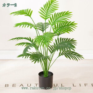 300~OFFN[| tFCNO[ ^ lHϗtA RŃA ϗt Iȑ CeA ȒP  ƒ 悯oRj[  CeA z̃Mtg fR[V g